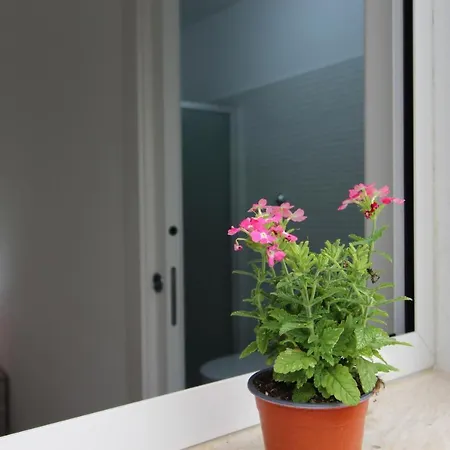 Panzió Val Di Erice Valderice