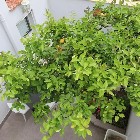 Val Di Erice 住宿加早餐酒店 瓦尔德利切