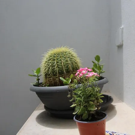 Val Di Erice * Valderice